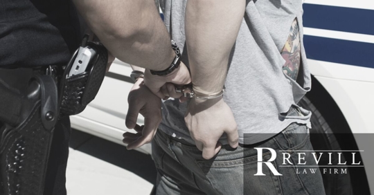 cop putting young male into the back of police car